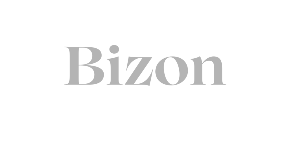 Bizon